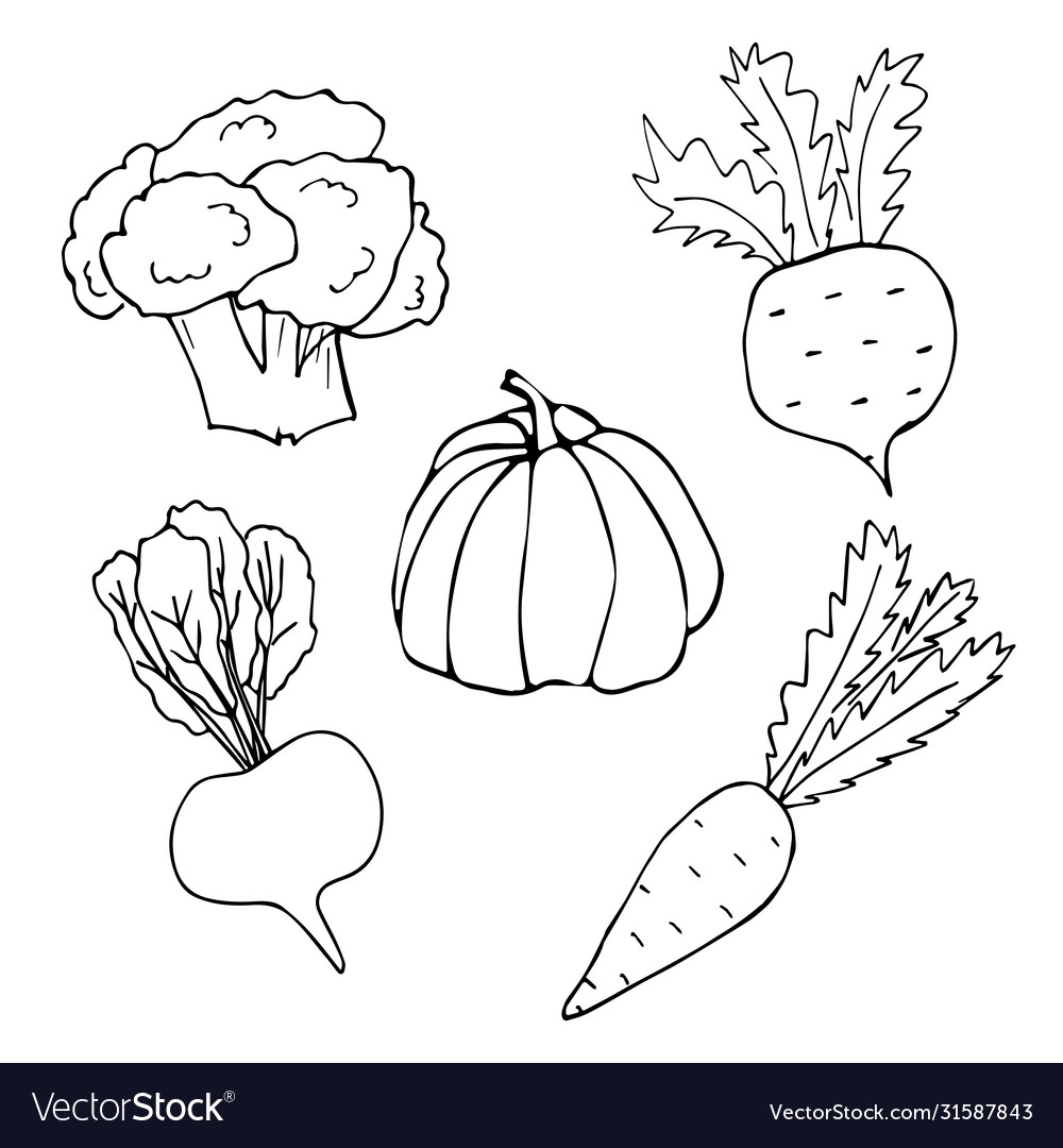 Vegetables doodle Royalty Free Vector Image - VectorStock