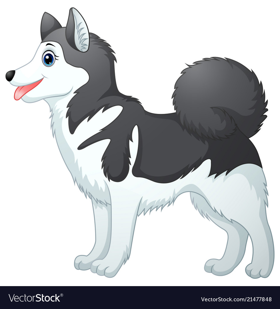 Cartoon siberian husky Royalty Free Vector Image