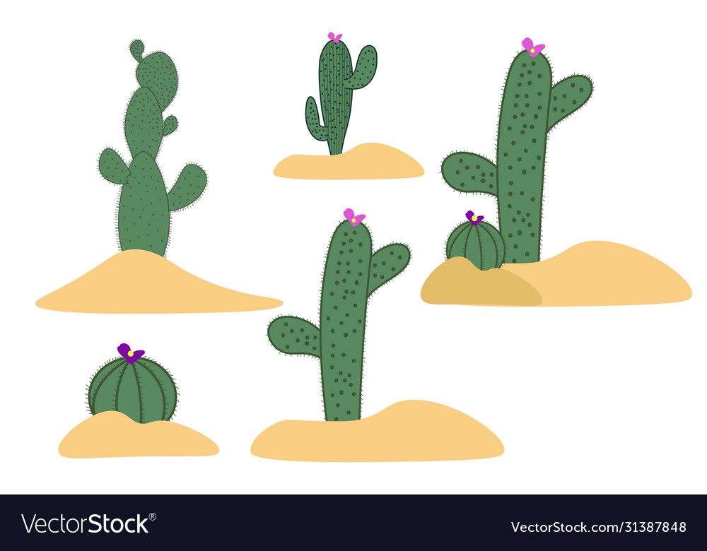 Drawing cactus set elements for background
