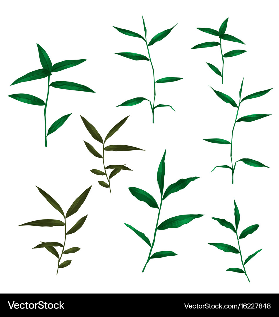 Green grass set Royalty Free Vector Image - VectorStock