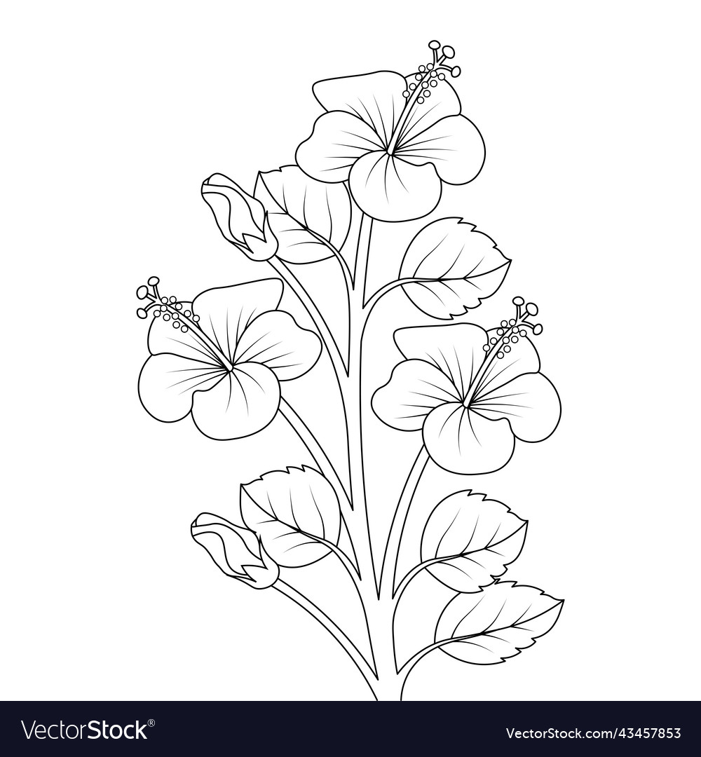 Potted flowers, home decor. Hand drawing, linear black and white sketch.  Large outdoor indoor plants . Monstera, palm, spathiphyllum, sanseviera  Stock Vector Image & Art - Alamy