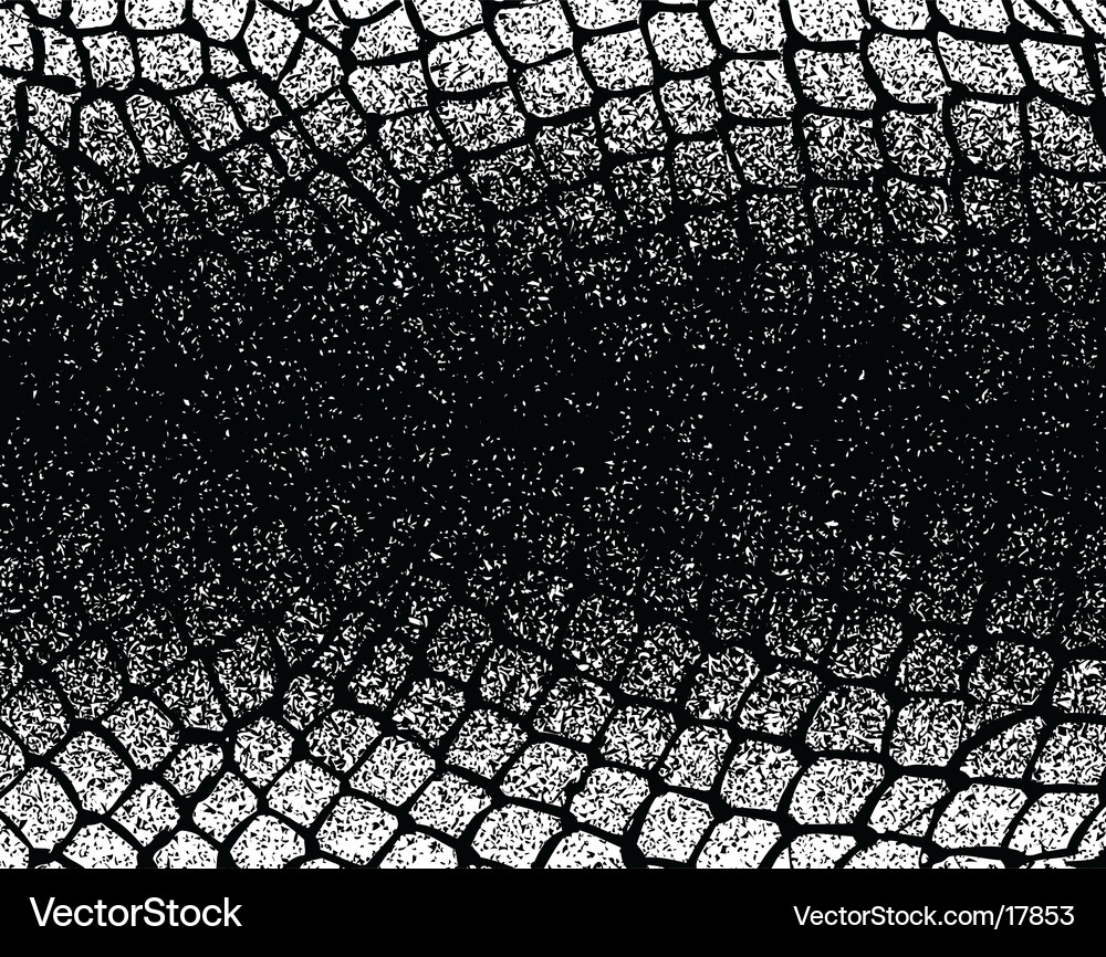 Net Grunge Texture Royalty Free Vector Image - VectorStock