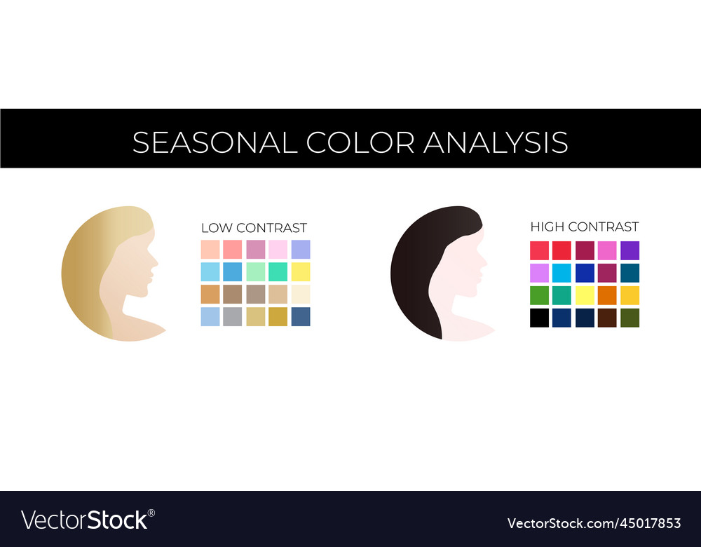 Seasonal color analysis low and high contrast Vector Image