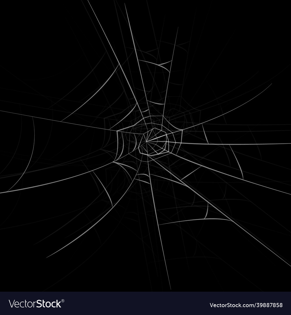 Cobweb isolated background spider web vector image Cobweb isolated background spider web