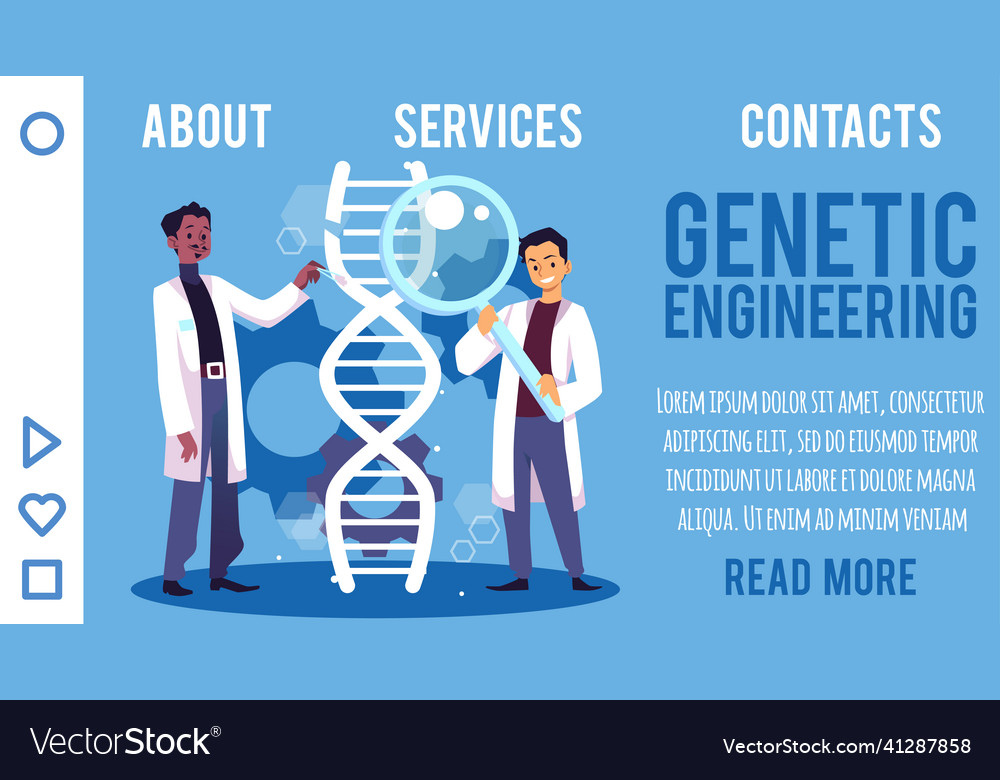 Genetic engineering with two scientists build dna Vector Image