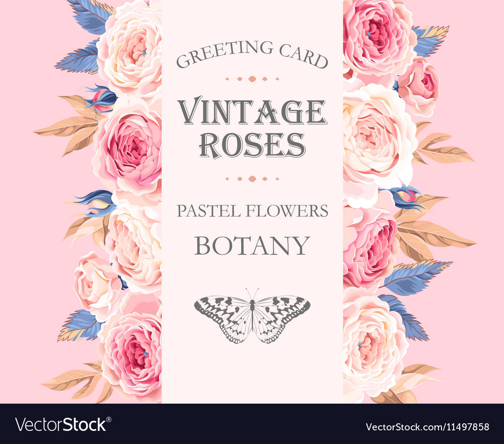 Greeting card with roses Royalty Free Vector Image