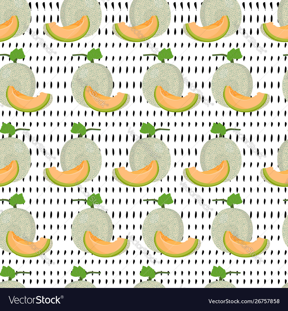 Melon Slice Pattern - White Background