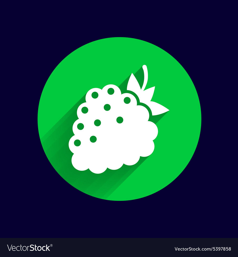 Raspberry logo template abstract design