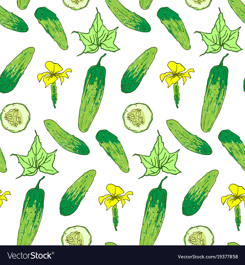 Seamless pattern of cucumber whole and chunks
