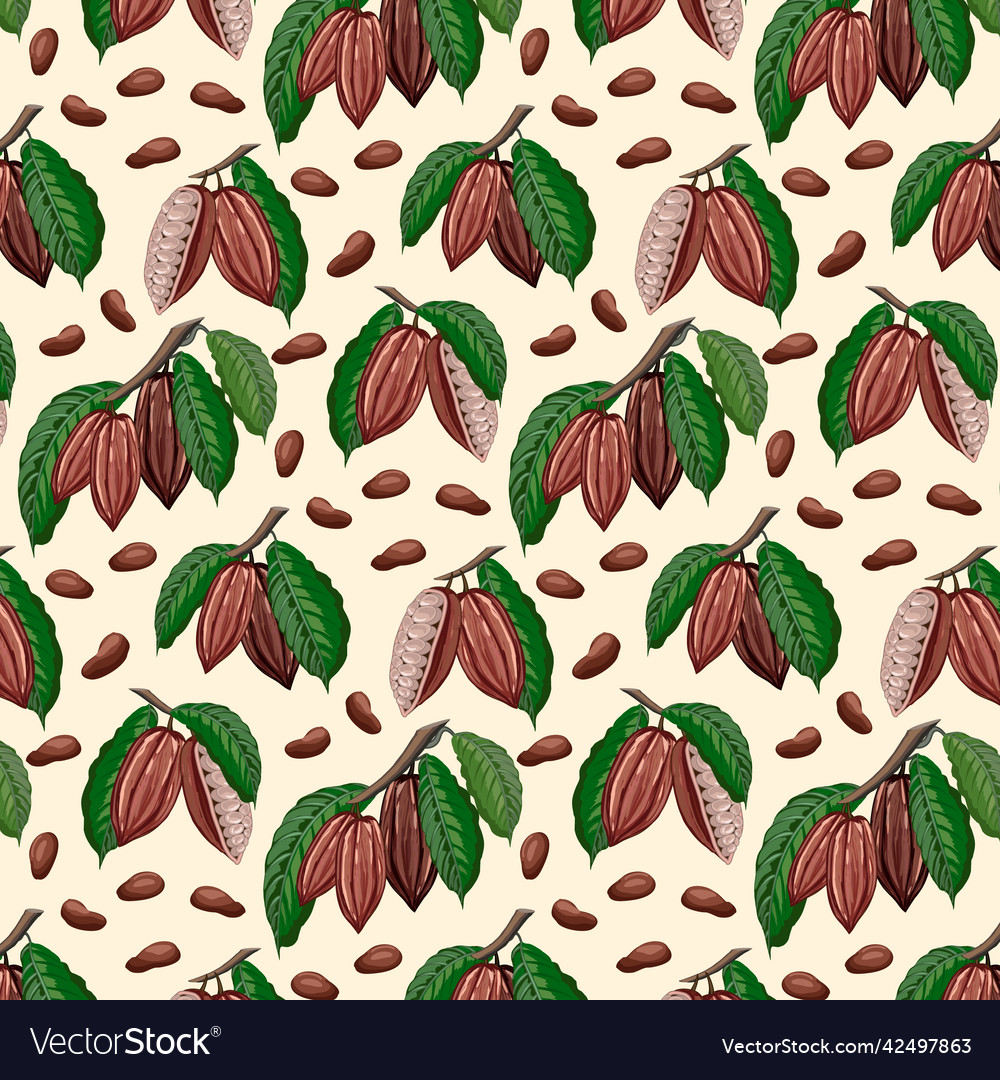 Branches with cocoa fruits vector image Branches with cocoa fruits