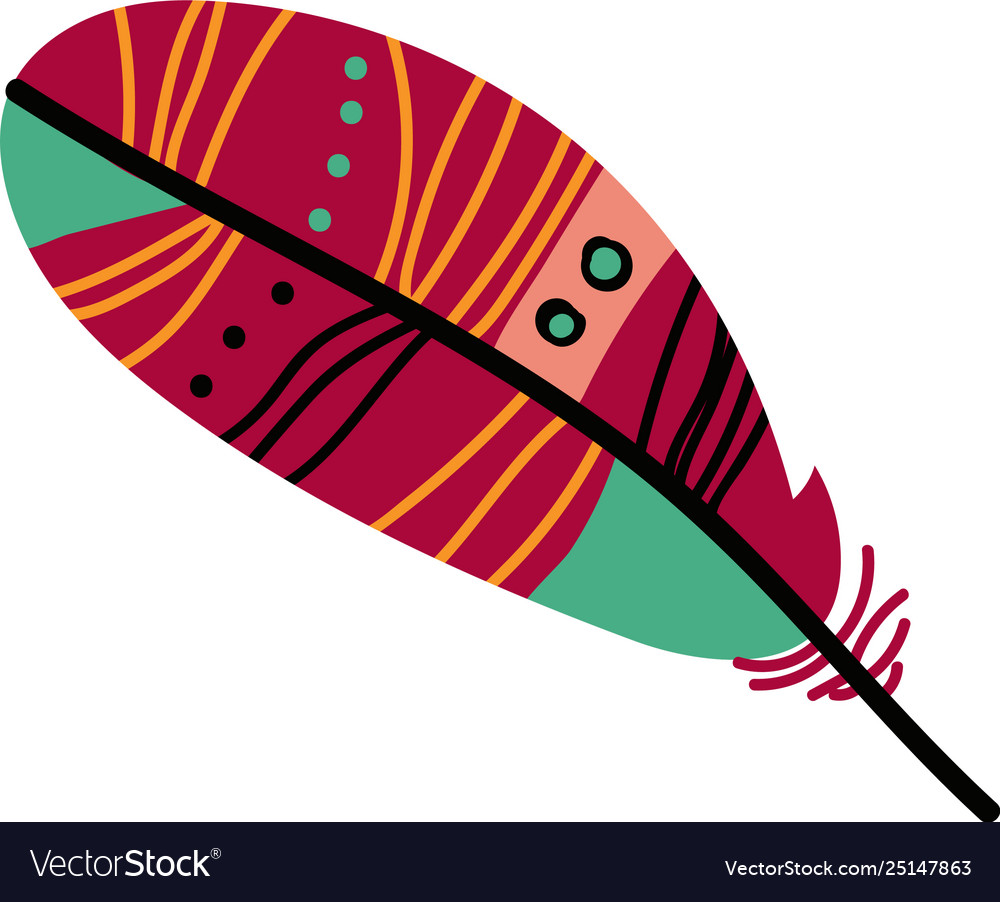 Bright bird feather with colorful patterns