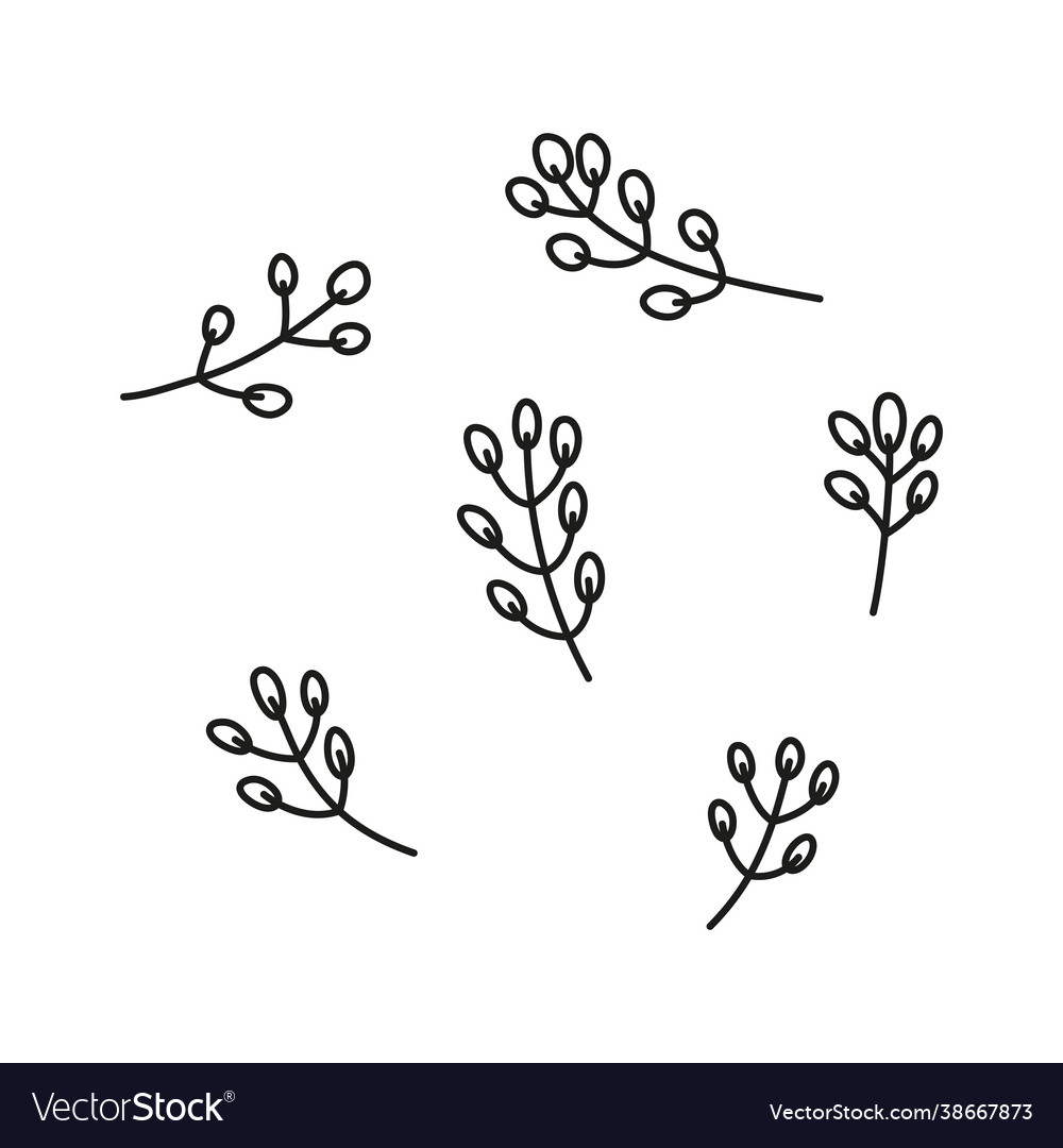 Set doodle pussy willow twigs