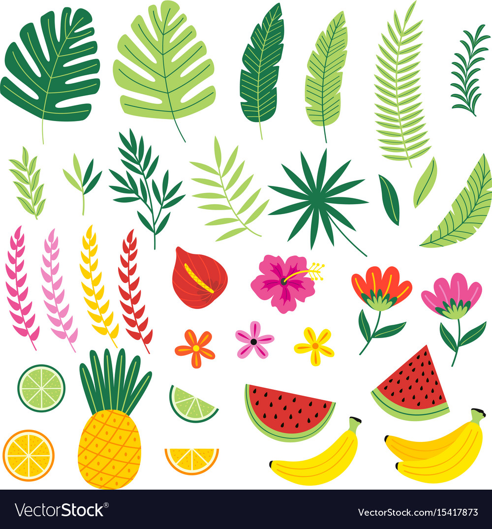 Tropical Fruits & Leaves Collection