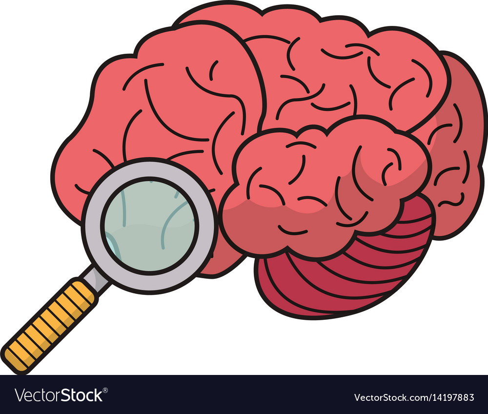 Brain search idea discovery Royalty Free Vector Image