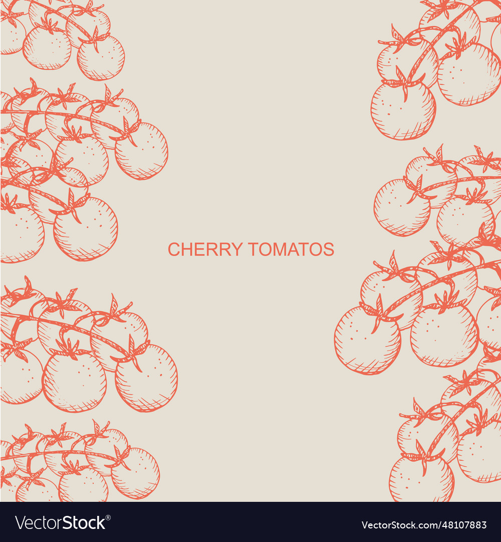 Cherry tomatoes label template background for text vector image Cherry tomatoes label template background for text