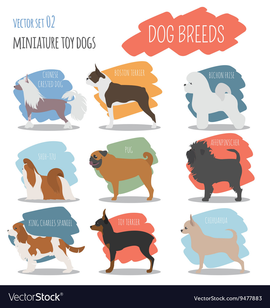 Dog breeds miniature toy set icon flat style Vector Image