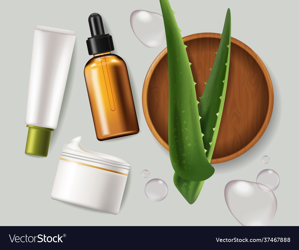 Aloe vera leaves and cosmetics realistic Vector Image