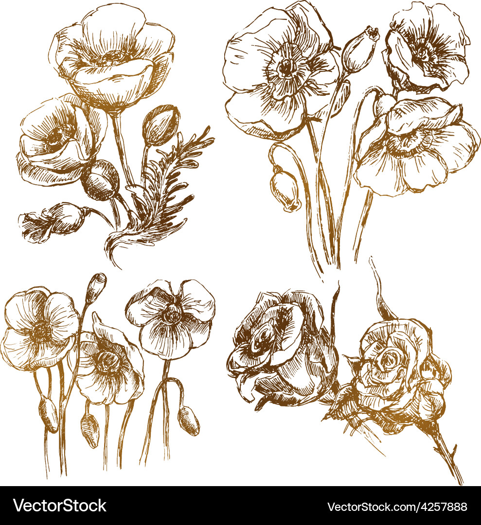 Flowers set Royalty Free Vector Image - VectorStock