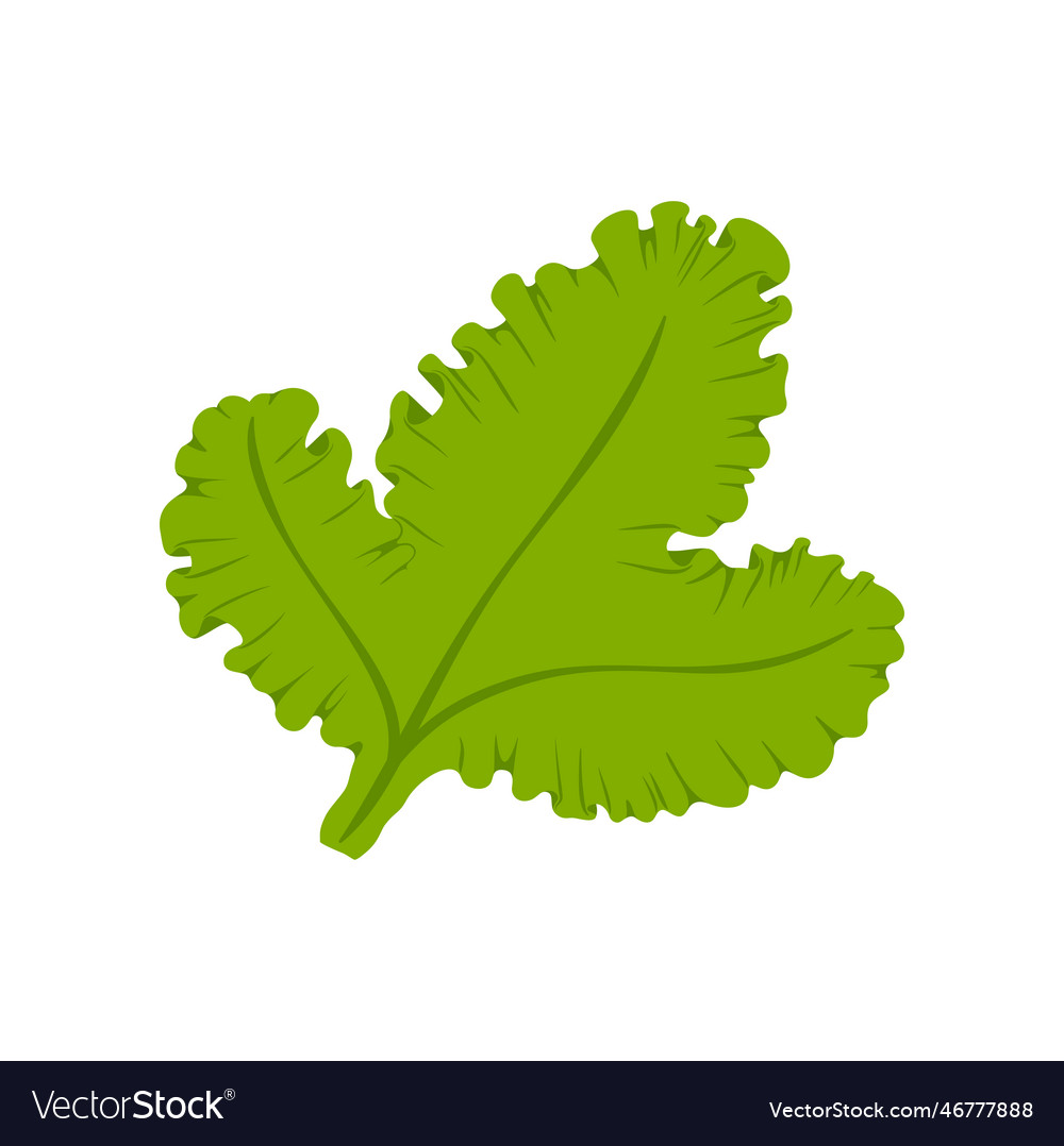 Weiche Seetang grüne Pflanze Cartoon Farbe Blatt Ikone
