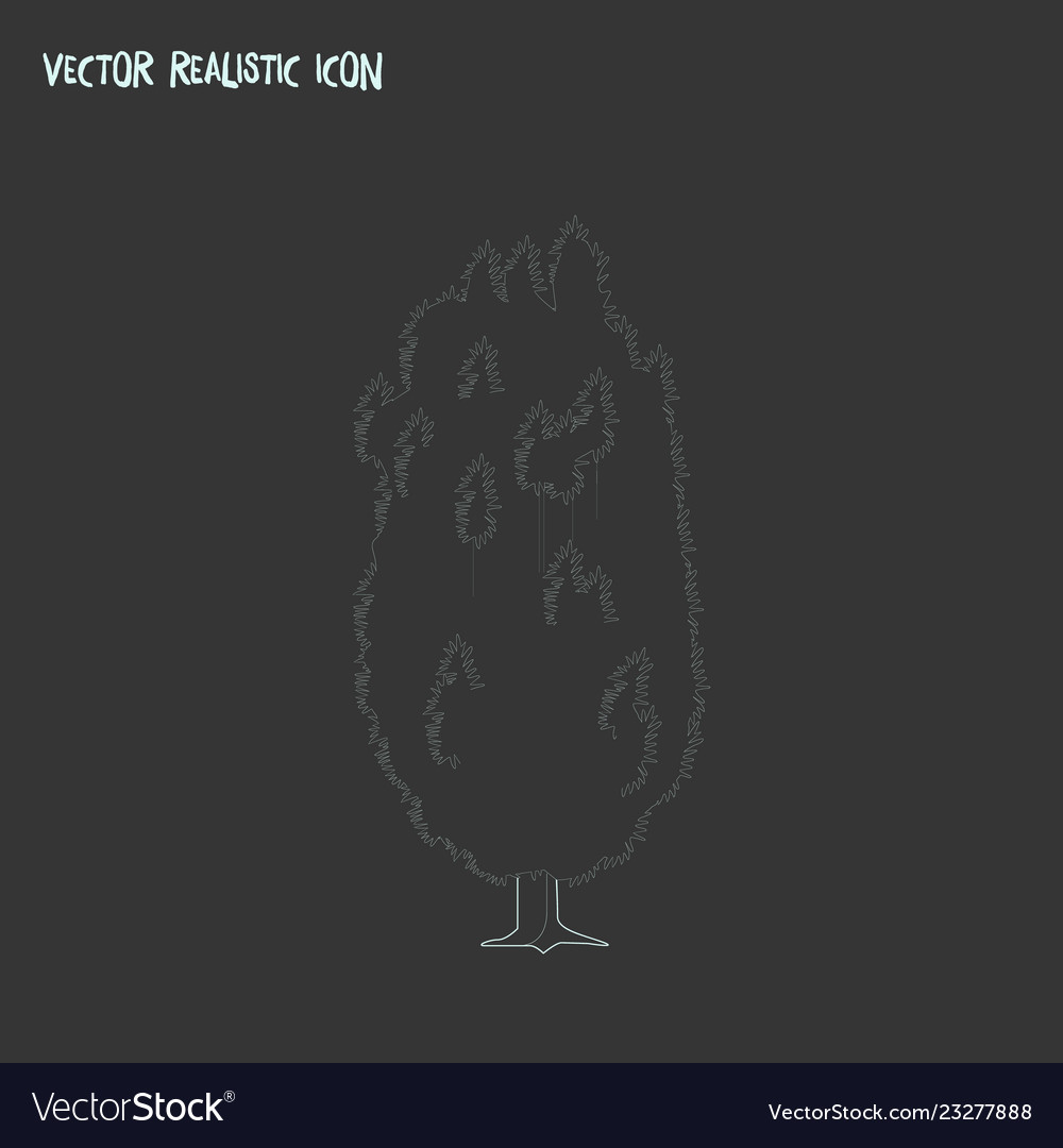 Yew tree icon line element