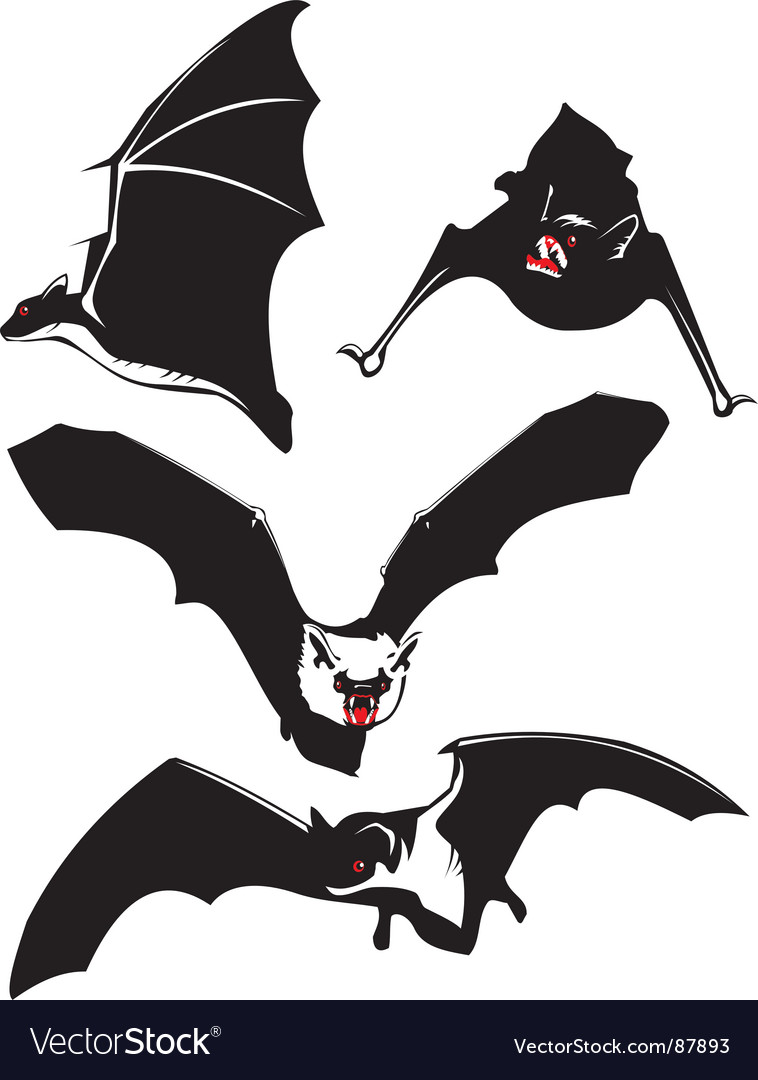 Bats Royalty Free Vector Image Vectorstock