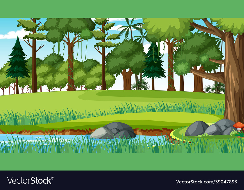 Nature scene with stream flowing through
