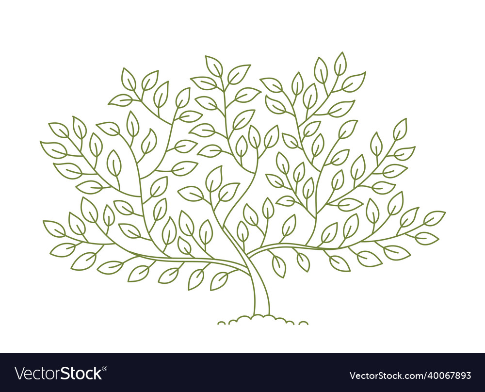 Outline tree open paths editable stroke custom
