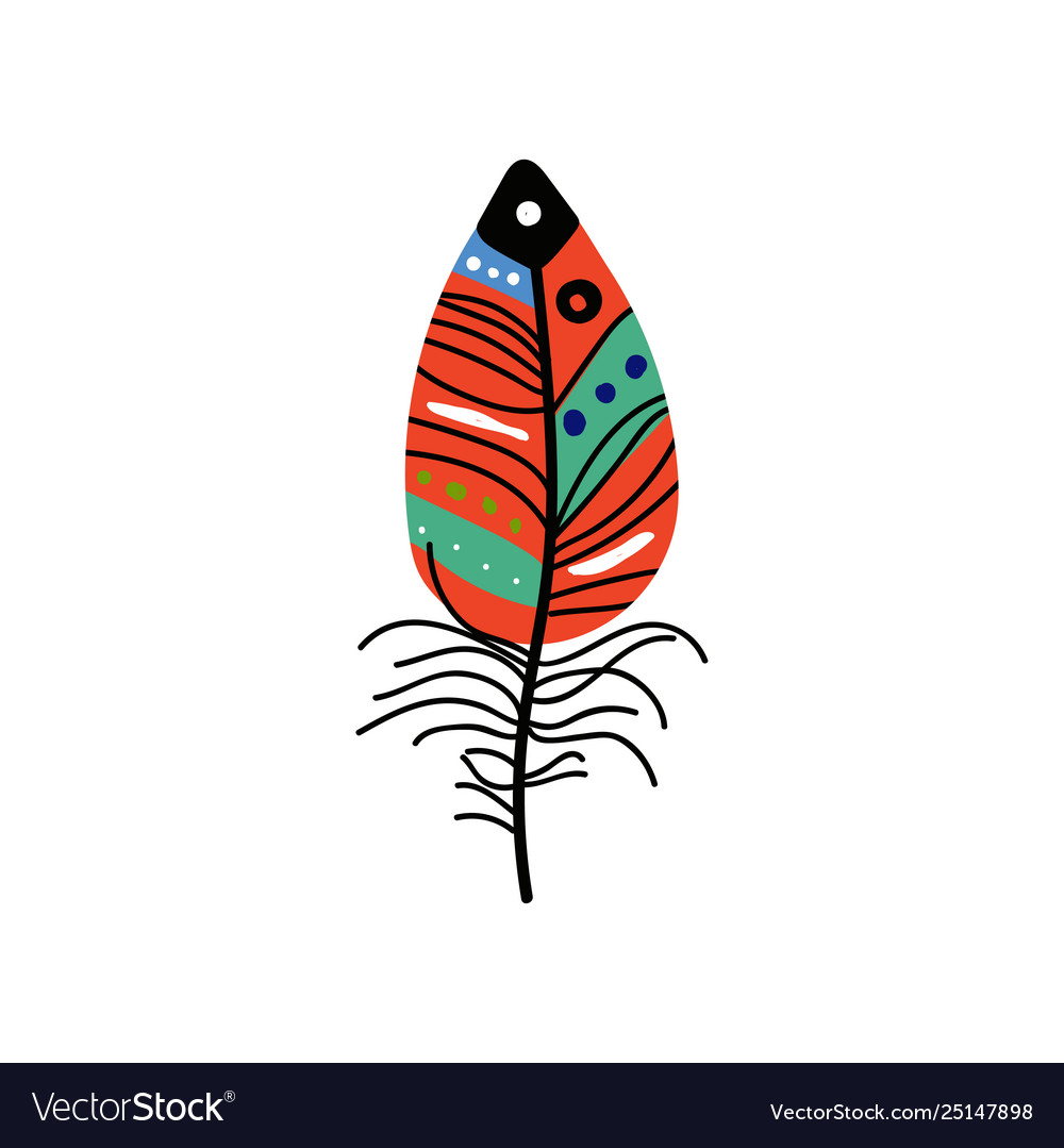 Bright bird feather with colorful patterns vector image Bright bird feather with colorful patterns