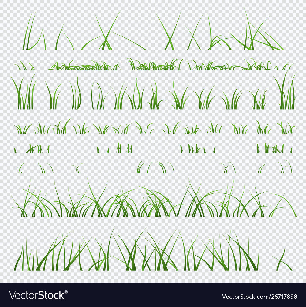 Set elements green grass isolated Royalty Free Vector Image
