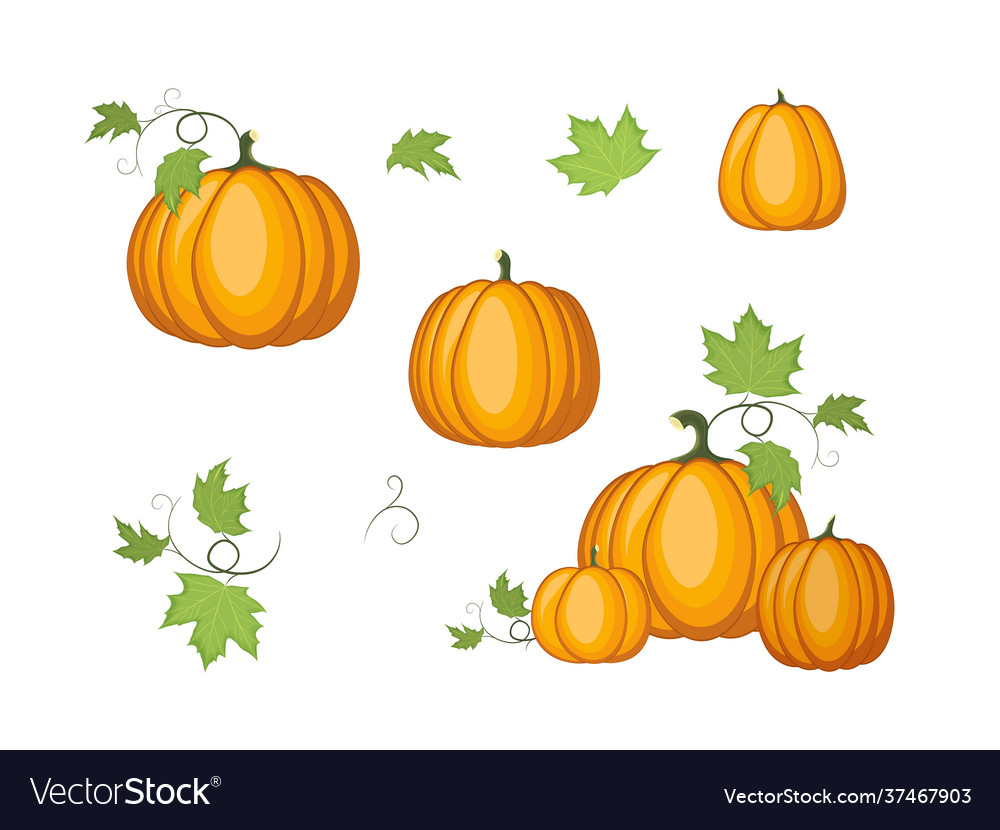 Autumn pumpkins