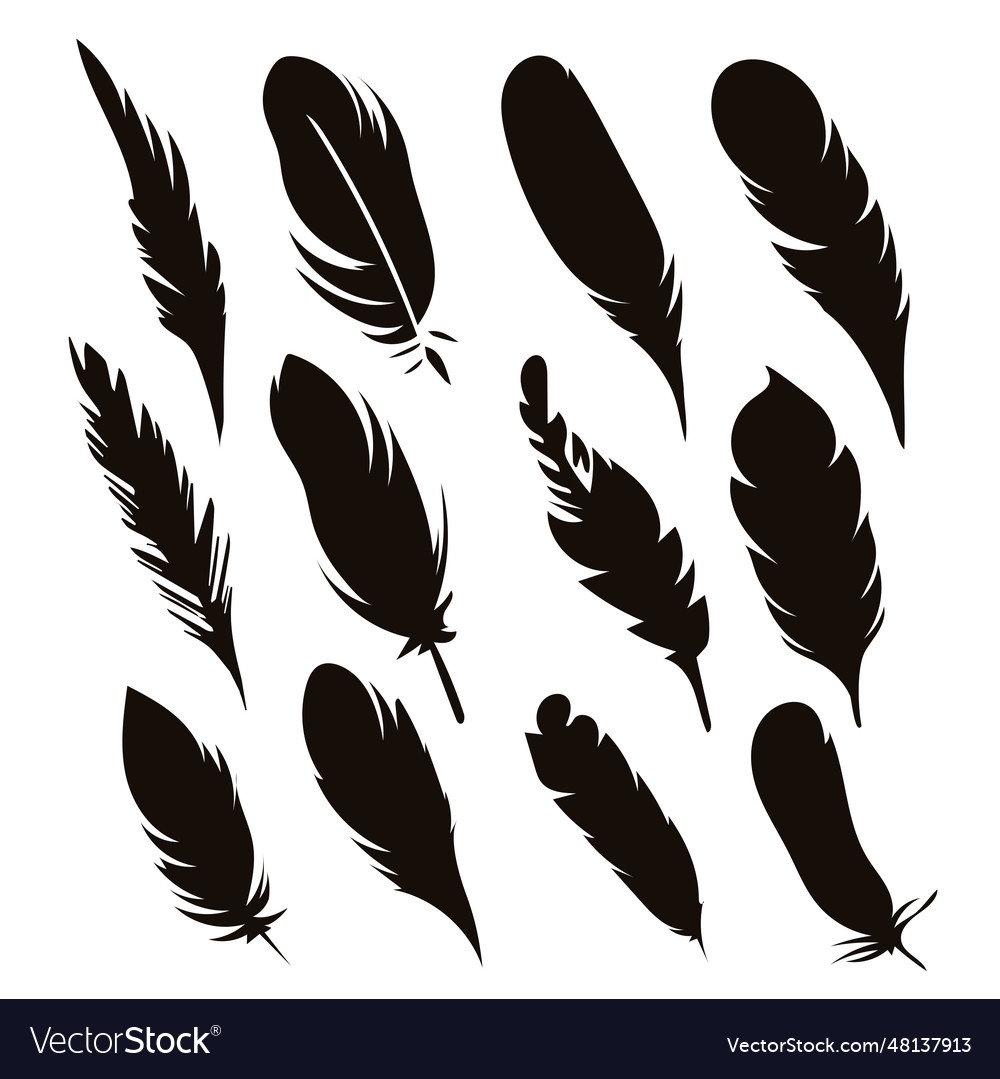 Black silhouettes of a bird feather feather Vector Image