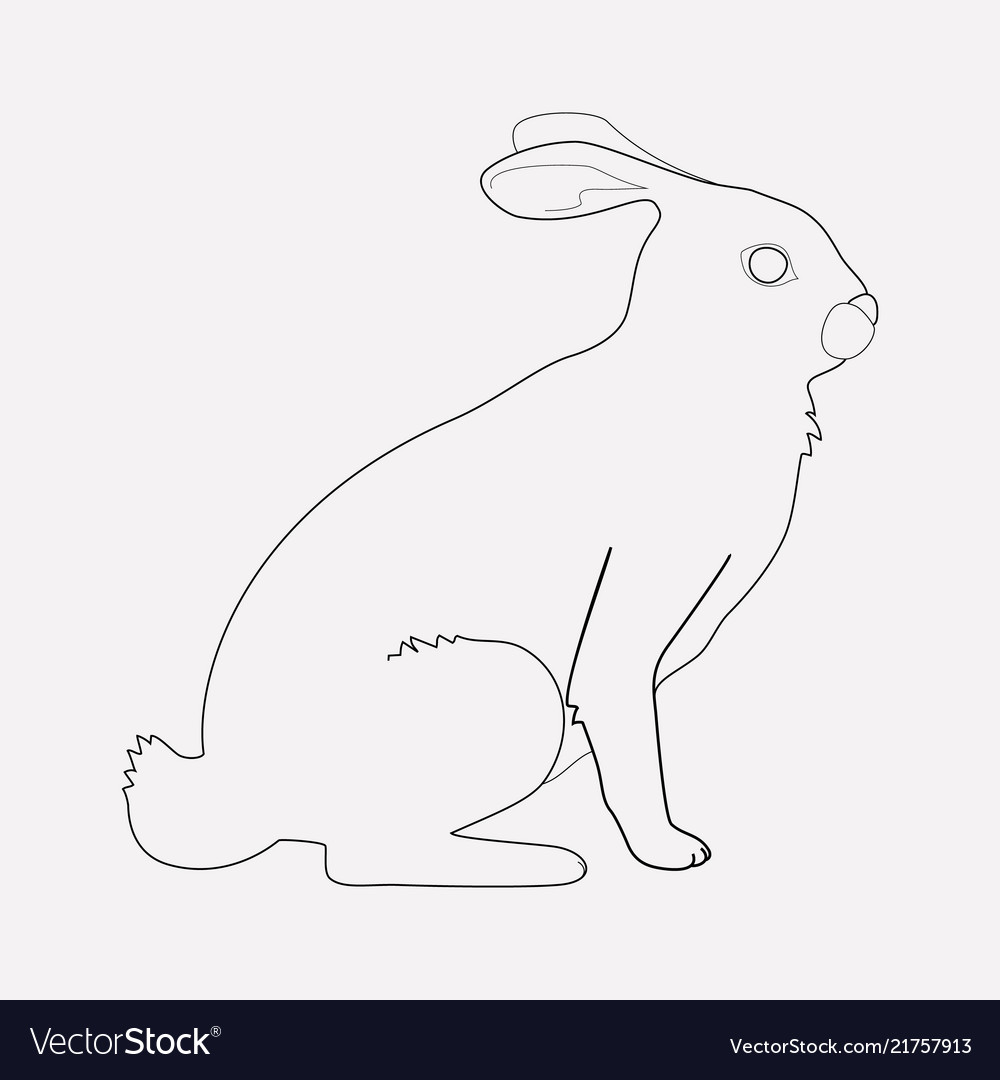 Rabbit icon line element