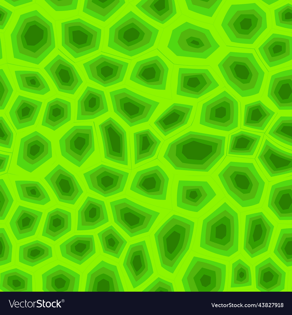 Abstract modern turtle shell seamless pattern vector image Abstract modern turtle shell seamless pattern