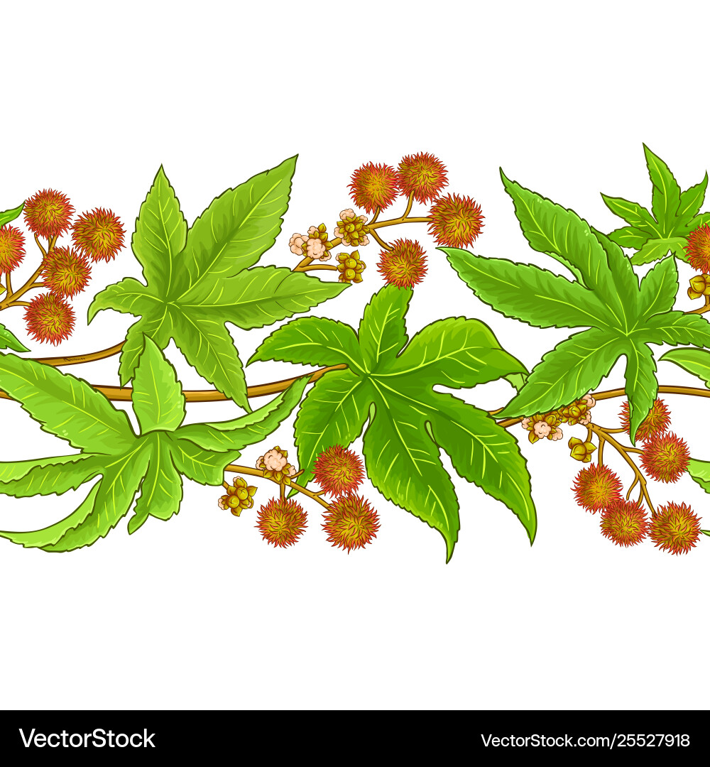 Castor pattern Royalty Free Vector Image - VectorStock