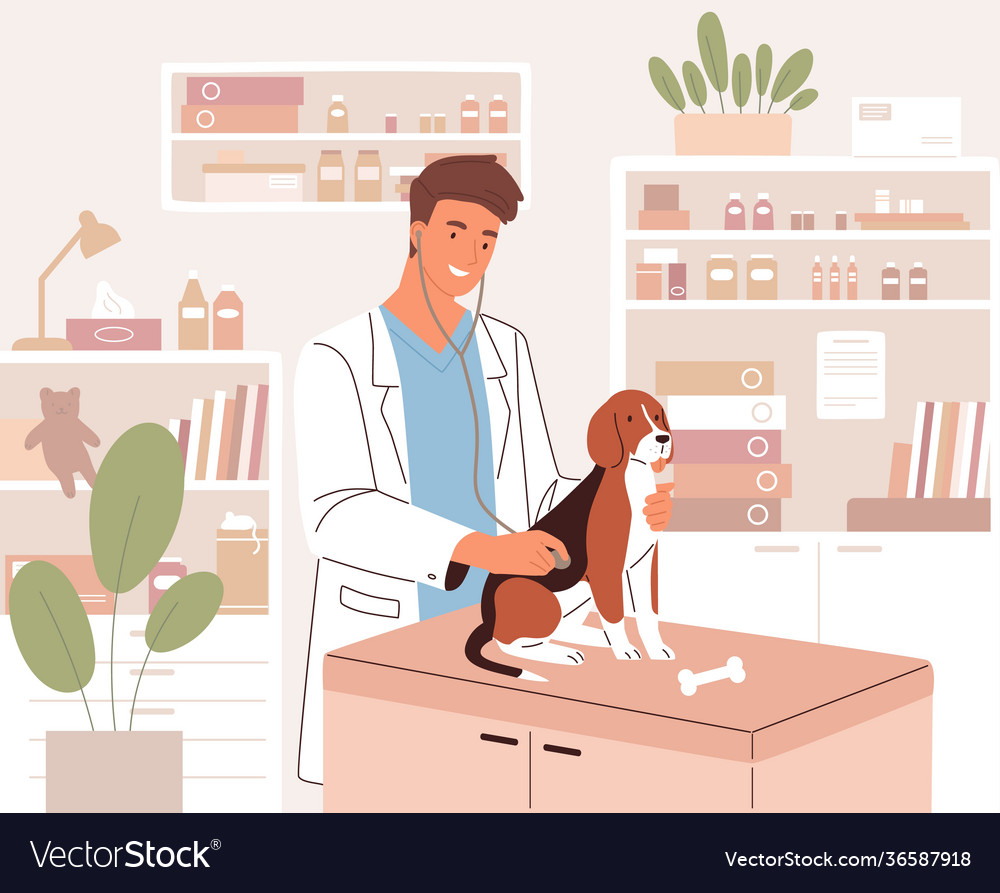 Happy Young Veterinarian Examining Dog Royalty Free Vector