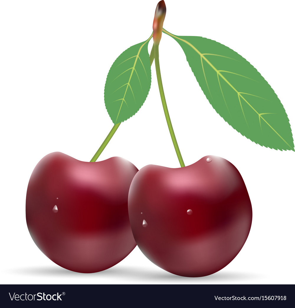 Ripe red cherry berries with leaves isolated