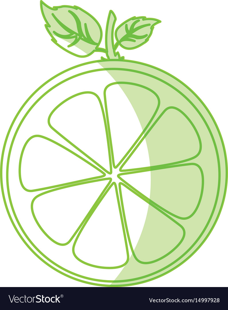 Half citrus fruit icon