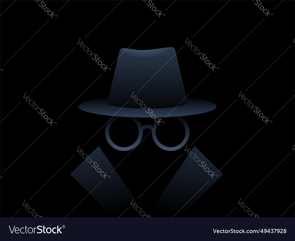 Incognito mode private browsing in Vector Image