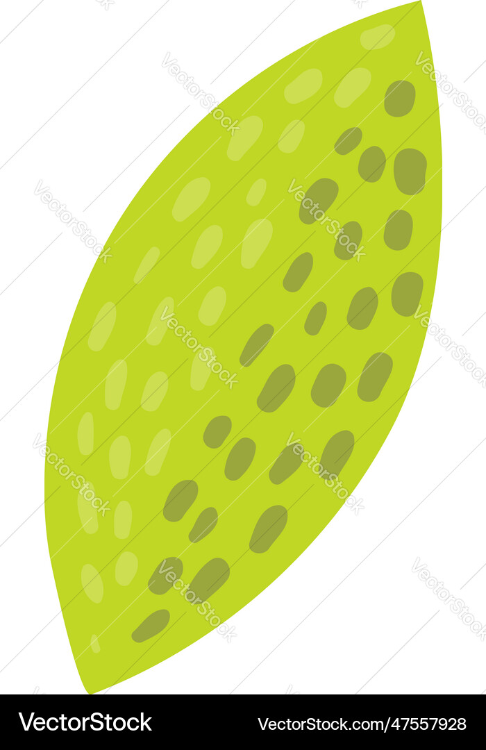 Leaf hand drawn Royalty Free Vector Image - VectorStock