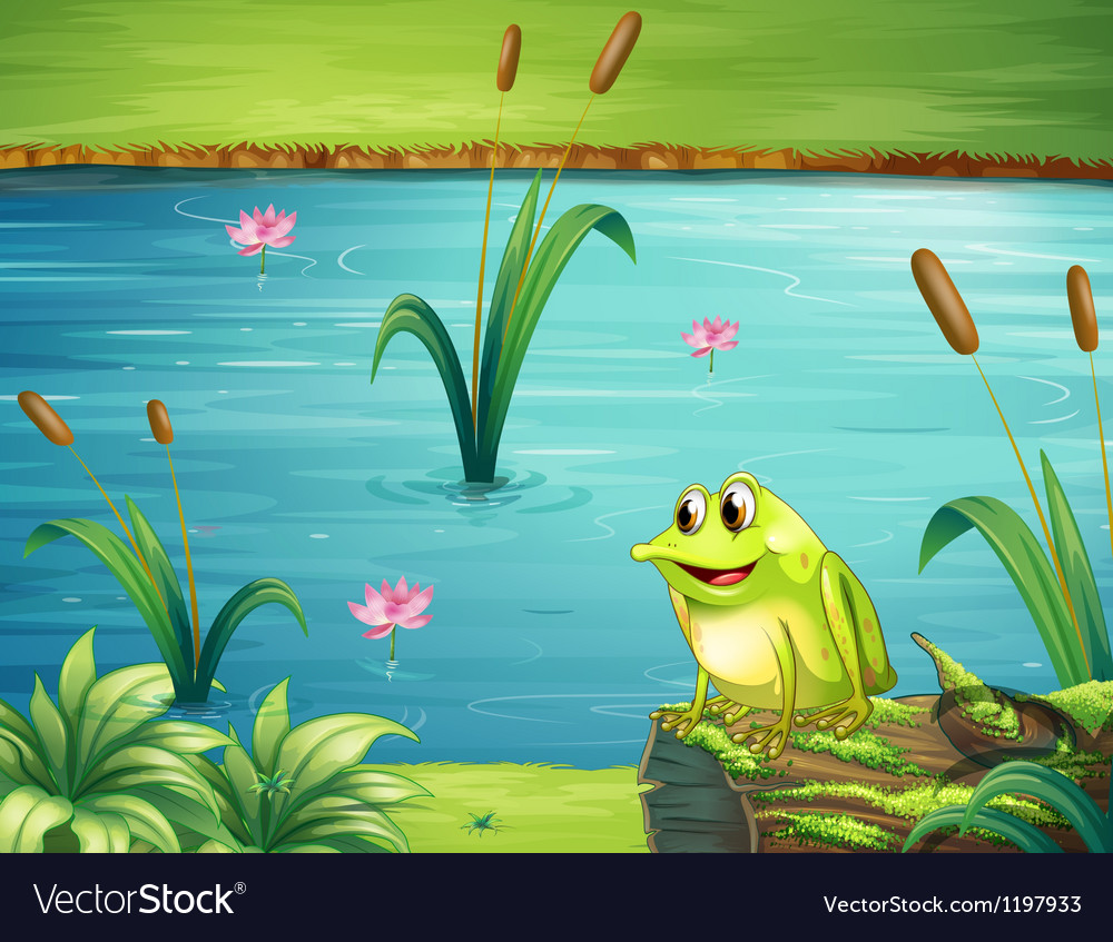 A frog at the riverbank Royalty Free Vector Image