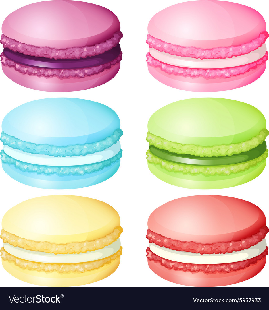 Macaron In Different Flavor Royalty Free Vector Image