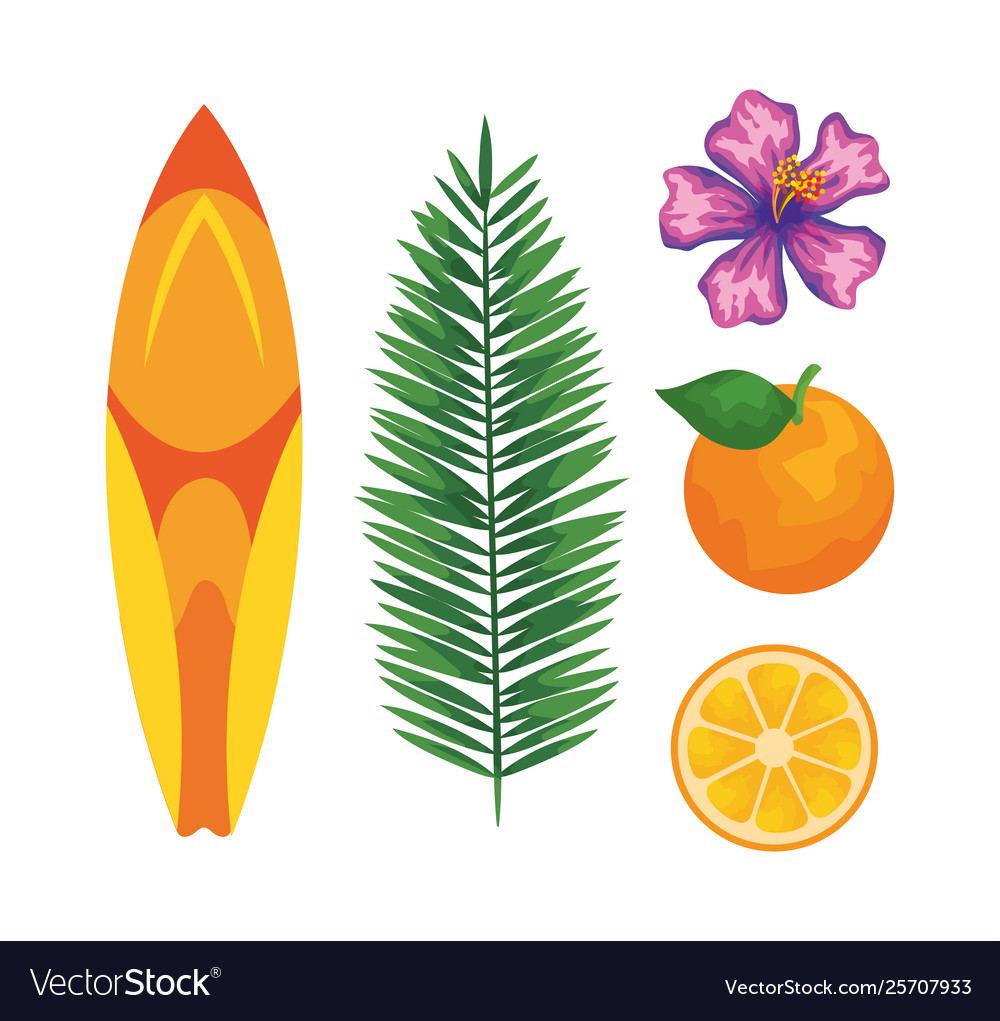 Set surfboard with leaf palm and flower