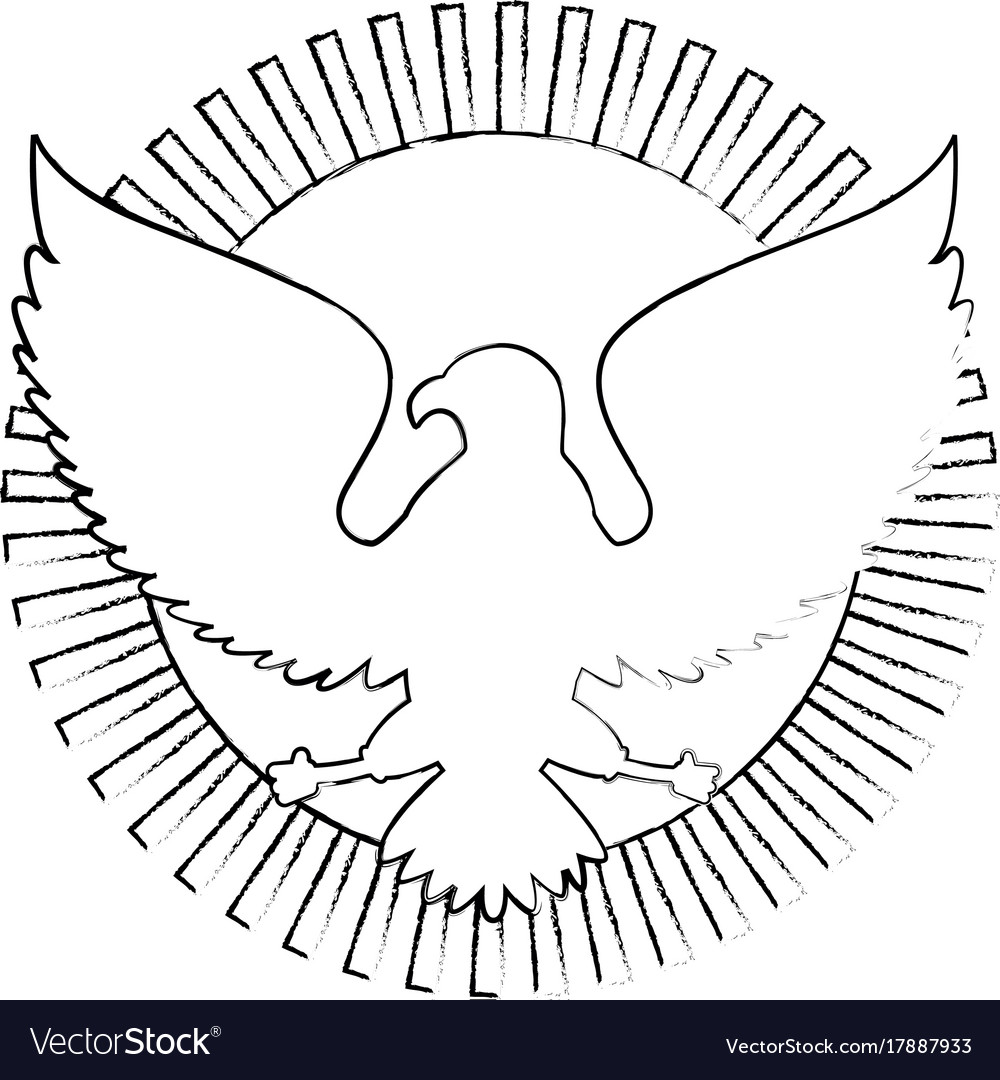 United states of america eagle