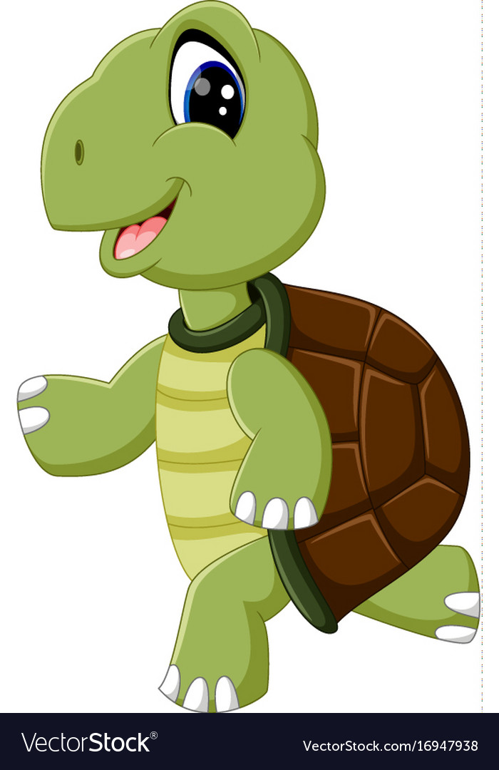 Cute turtle cartoon Royalty Free Vector Image - VectorStock