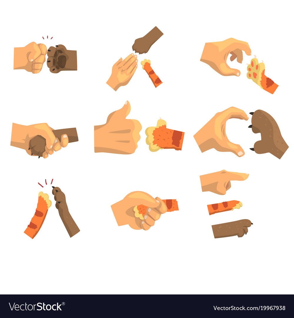 Hand Holding Animal Paw - Set of Animals