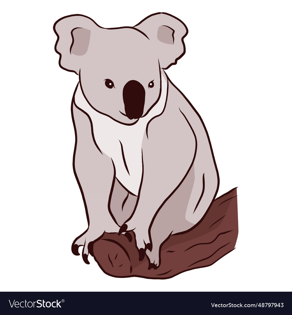 Ear koala leg nose branch Royalty Free Vector Image