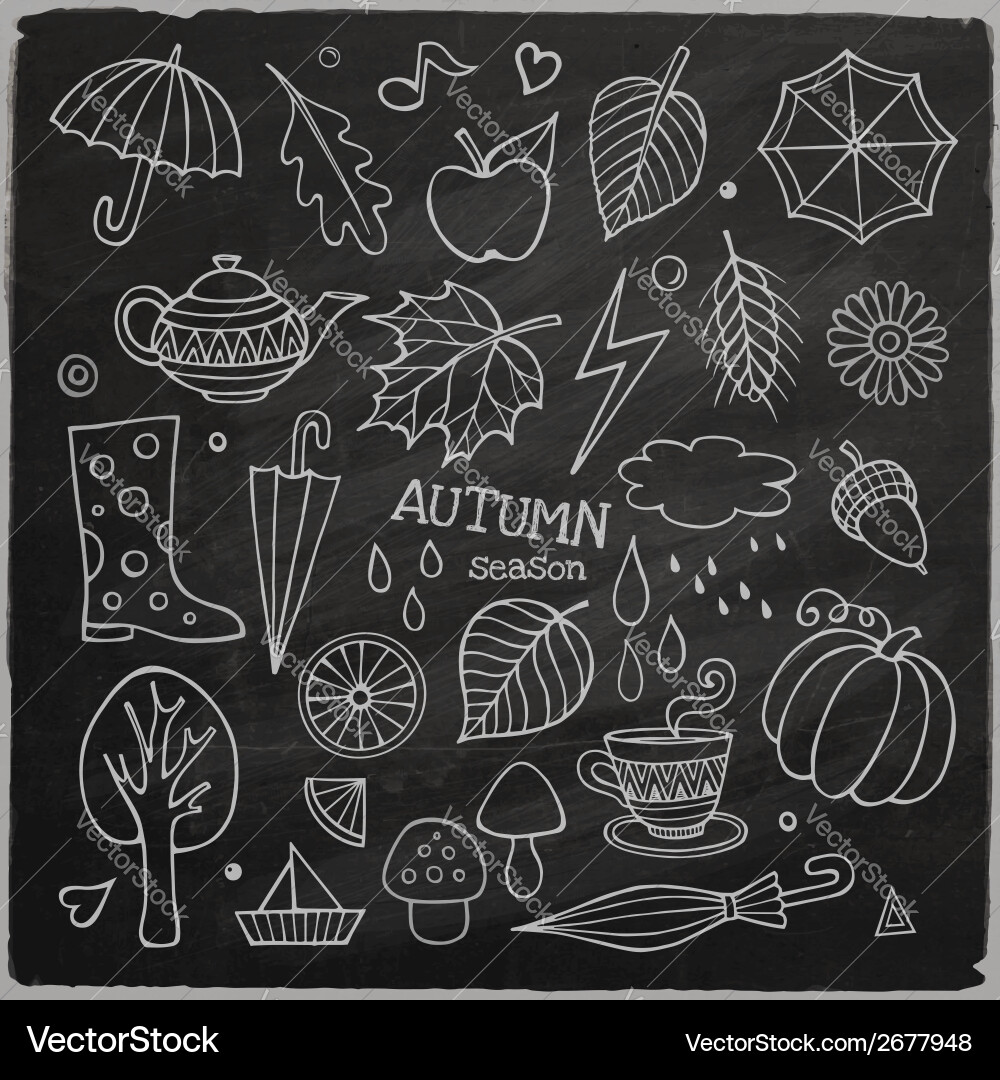 Set different hand drawn autumn elements Vector Image