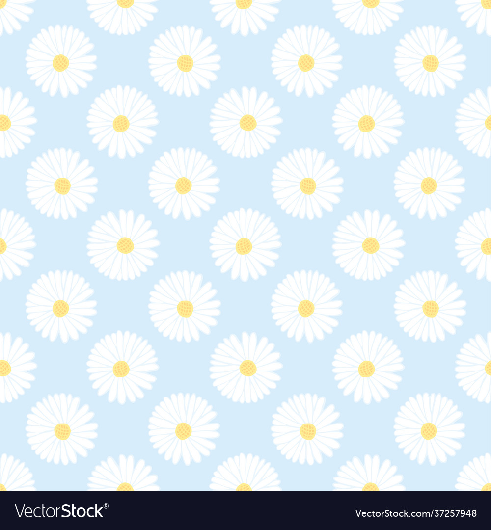 Small white daisy seamless pattern flower