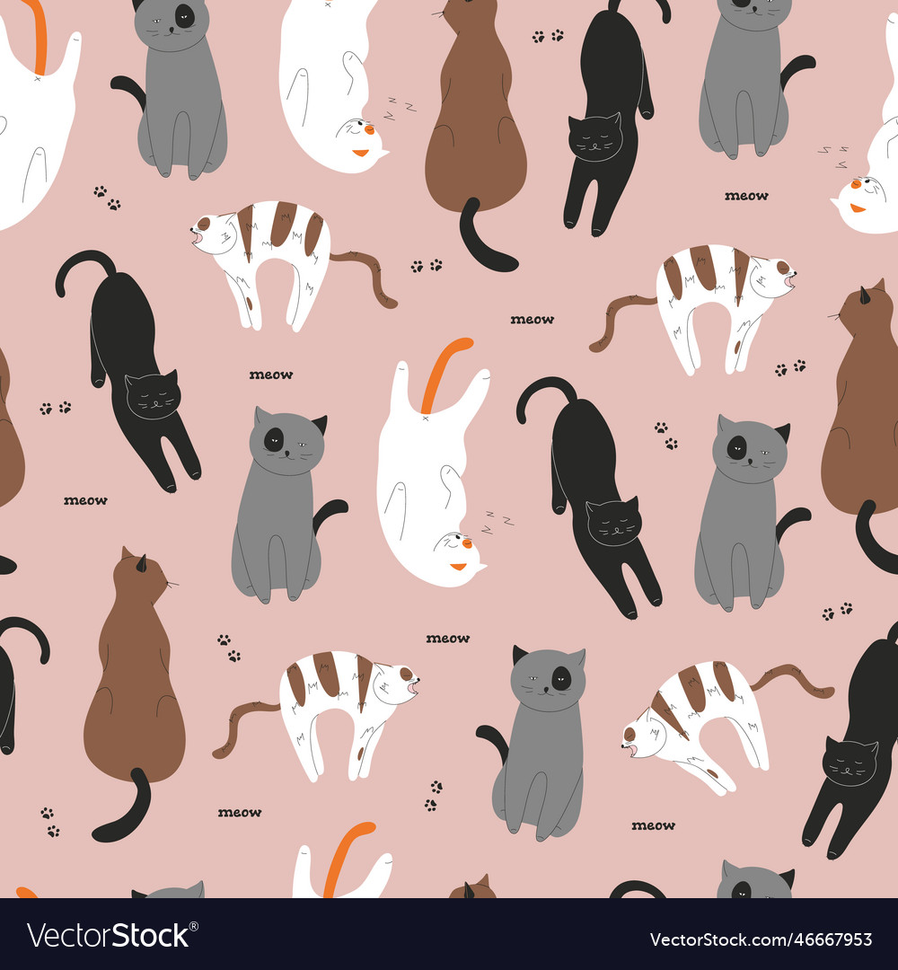 Seamless pattern with different cats vector image Seamless pattern with different cats