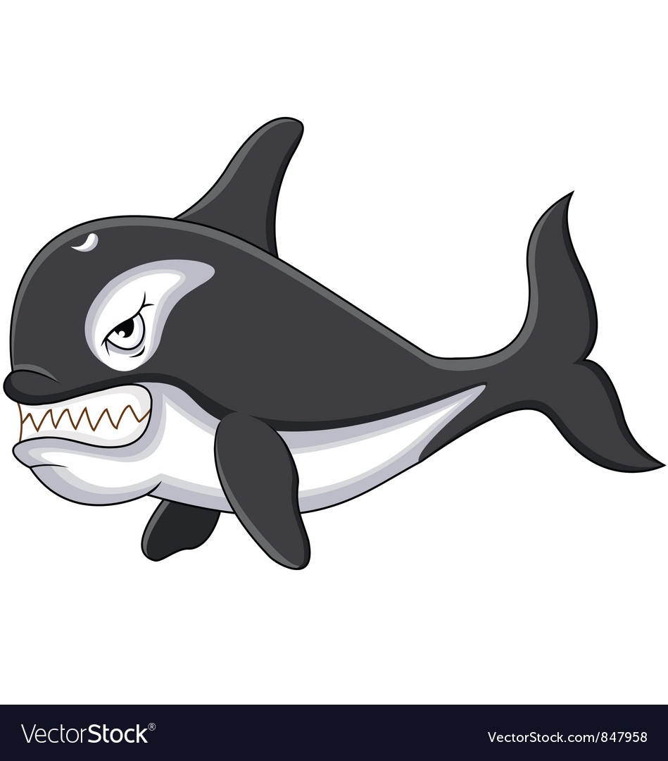 Killer whale cartoon Royalty Free Vector Image